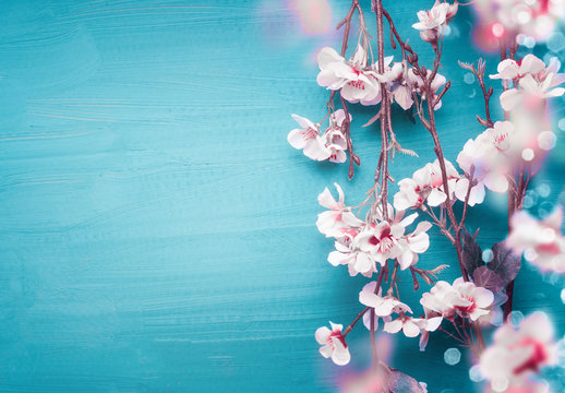 Cute Aesthetic Flower aesthetic spring cute HD phone wallpaper  Pxfuel