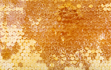 honeycomb as background