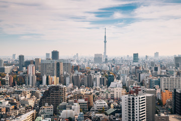 Fototapeta na wymiar Tokyo cityscape and Skytree in Japan