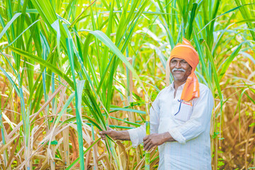indian farmer at field