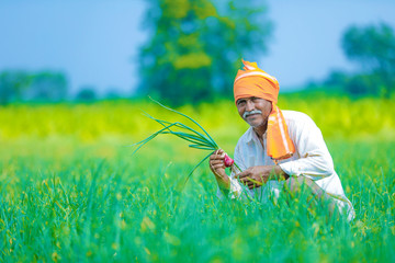 indian farmer at  onion field