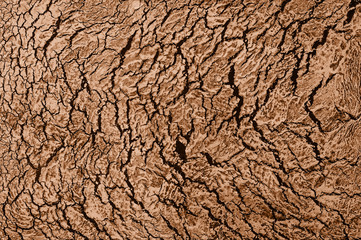 Venetian stucco for backgrounds