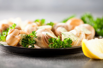 Escargots de Bourgogne - Snails with herbs butter on gray background. Selective focus