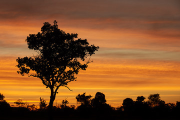 Fototapeta na wymiar Beautiful Sky Color During Sunset