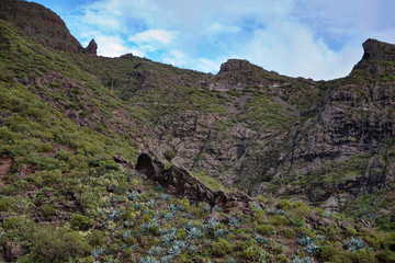 Mountain landscape on tropical island Tenerife, Canary in Spain.