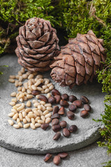 Pine cones and nuts on a gray concrete background. Vertical frame.