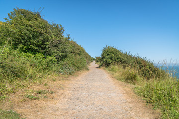 dover, grass, england, white, kent, field, beach, sea, cliffs, nature, background, english, cliff, meadow, summer, tall, landscape, vegetation, uk, sky, ocean, beautiful, beauty, green, port, travel, 