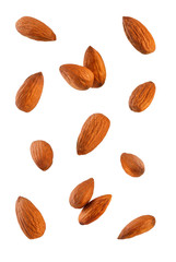 Collection of Almonds.
