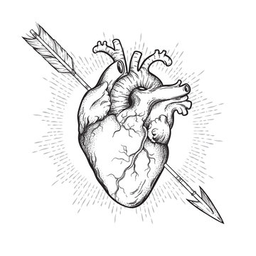Hand Drawn Heart Pierced Arrow Symbol Stock Vector Royalty Free 731504761   Shutterstock