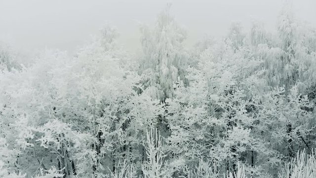 Aerial view, flight above winter forest on the north.