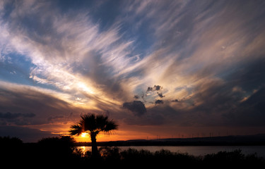 Magnificent sunset over a salt lake, Cyprus, Larnaca. Bright sky with the sun and clouds, the shadow of a palm tree. In the background windmills.