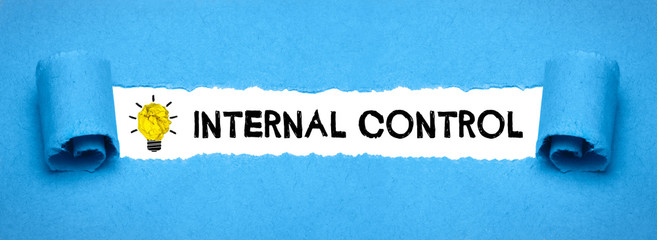 Internal Control 