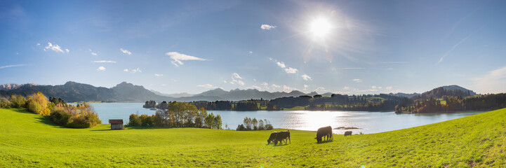 Weitwinkel Landschaft am Forggensee im Allgäu