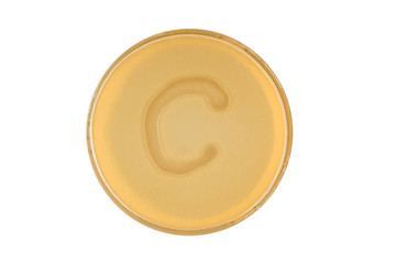 bacteria escherichia coli culture on plate in shape letter c