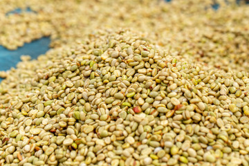natural organic green coffee beans