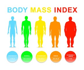Body mass index vector illustration. Silhouettes with different obesity degrees