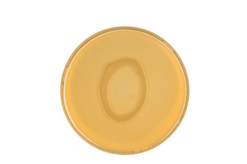 bacteria escherichia coli culture on plate in shape letter o