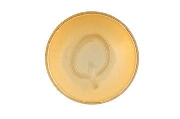 bacteria escherichia coli culture on plate in shape letter q