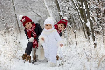 Cute little toddler boy and his older brothers, playing outdoors with snow on a winter day