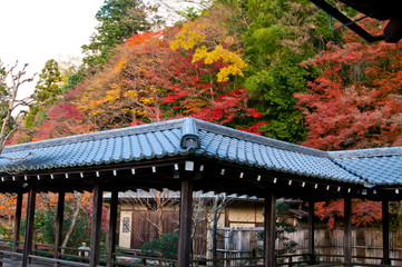 The scenery of the colored leaves around Nanzenji Temple in Kyoto,Japan.