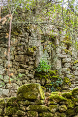 View of ruined stone house, with surrounding vegetation