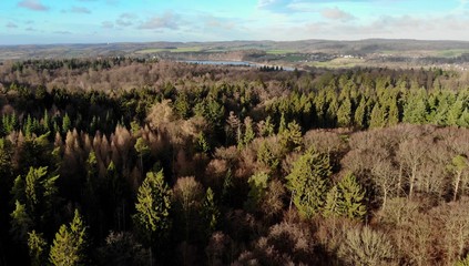 Schleswig Holstein Wald mit Drohne 