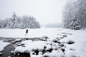 Winter Pond in Vermont