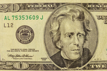 Macro shot of twenty dollar bill