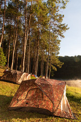 tent in the forest