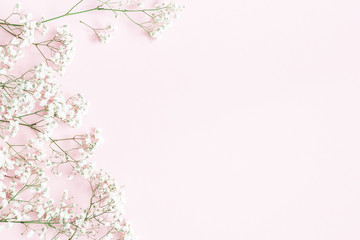 Obraz na płótnie Canvas Flowers composition. Gypsophila flowers on pastel pink background. Flat lay, top view, copy space