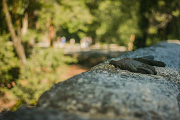 Glove Abandoned on Bridge in Yosemite
