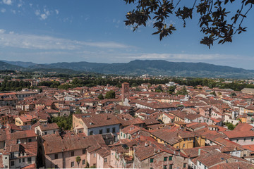 Amazing red rooftops of Lucca at Tuscany in  Italy