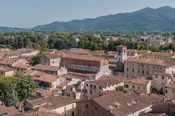 Fototapeta na wymiar Amazing red rooftops of Lucca at Tuscany in Italy