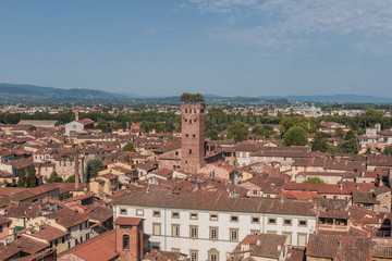 Fototapeta na wymiar Amazing red rooftops of Lucca at Tuscany in Italy