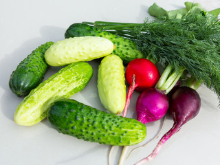 Cucumbers, radishes, dill on the white surface of the table