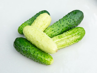 Cucumbers on the white surface of the table