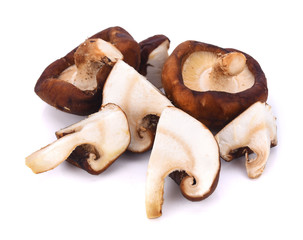 Shiitake mushroom on the White background