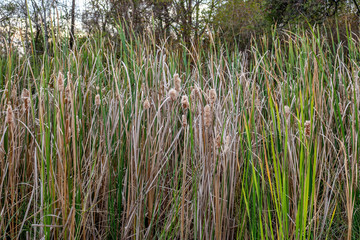 The beauty of natural scenery