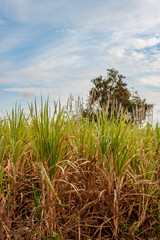 The beauty of natural scenery