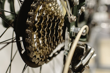 cassette on the rear wheel of a mountain bike to change gears.