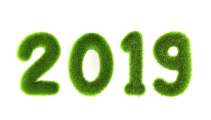 2019 new year grassed concept on green background