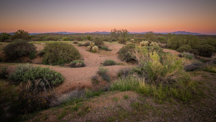 Desert landscape show a long and wide shot of a wilderness area near the McDowell Mountains in Scottsdale, Arizona. Low lying cactus bushes, orange desert dirt, tall saguaro and colorful sky show Ariz