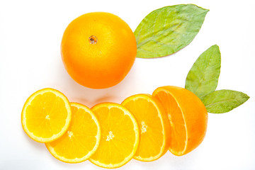 citrus round slices on a white background