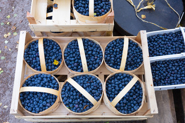 Mraktstand, blaubeeren, heidelbeeren, johannisbeeren, im korb, körbchen, händler, marktstand,...
