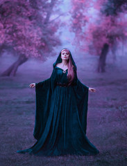 charming maiden in a blue brakhatny cloak in a wide belt, with pink hair in the forest as a sacrifice for the devil. the bloodthirsty dark druid conducts the rite of sacrifice, cold violet colors