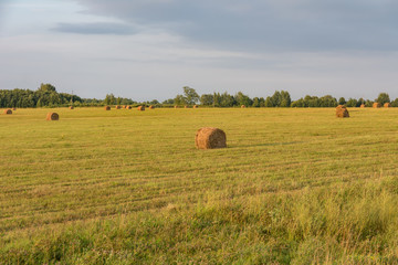Hay rolls on a sloping field