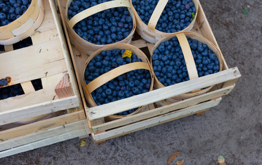 Marktstand blaubeeren heidelbeeren im korb körbchen händler marktstand palette palettenverkauf...