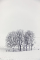 Snow is falling in the snow belt of New York State, USA.