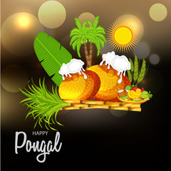 Happy Pongal.