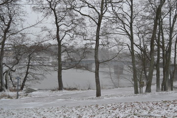 Fototapeta premium Bridge on the background of the river bank. Winter. Trees